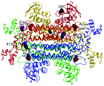   Figure 6 