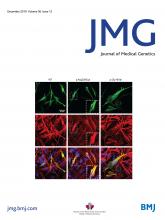 Journal of Medical Genetics: 56 (12)