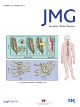 Journal of Medical Genetics: 60 (12)