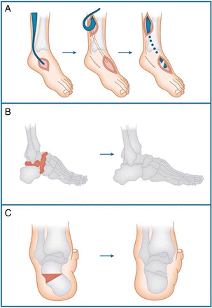 Figure 5