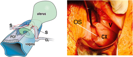 Fig. 3