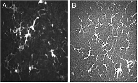 Figure 12