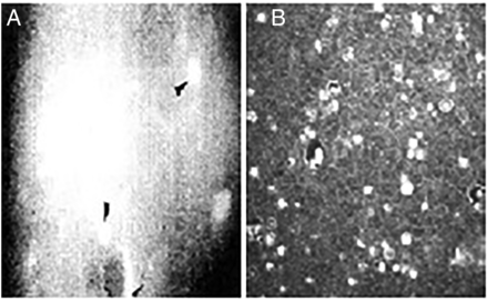Figure 13