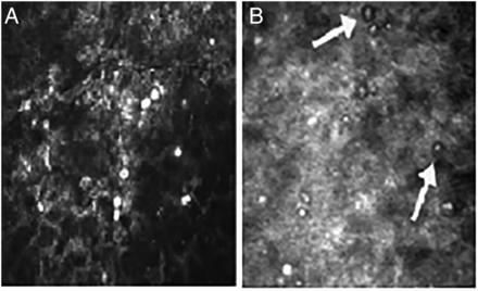 Figure 15