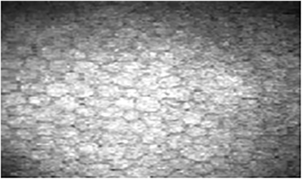 Figure 7