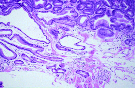   Figure 10 