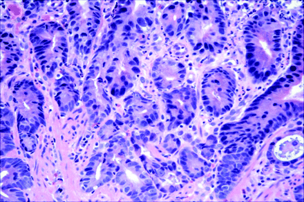   Figure 9 