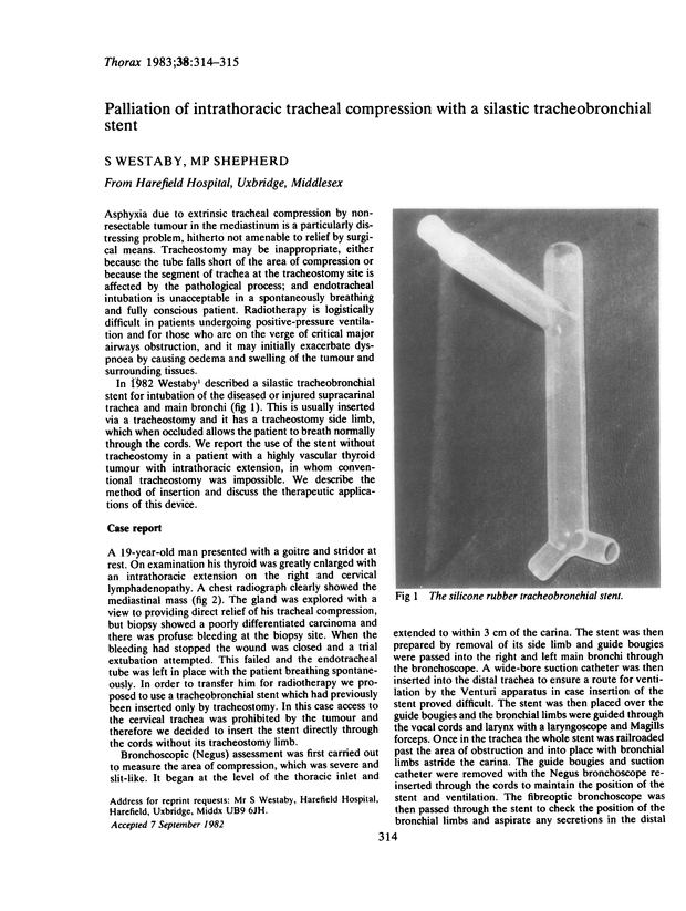 PDF extract preview
