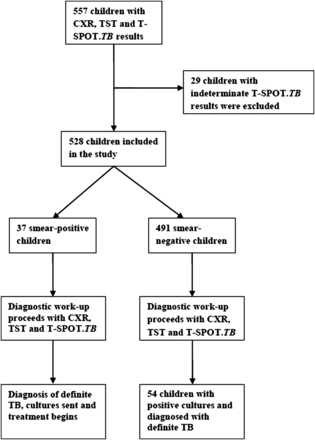 Figure 1