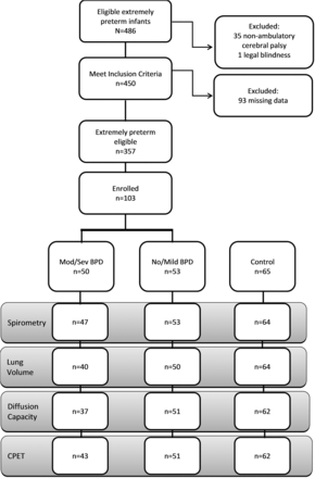 Figure 1