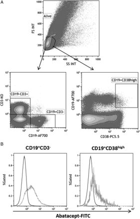 Figure 1