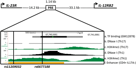 Figure 1