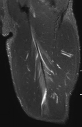 Figure 5