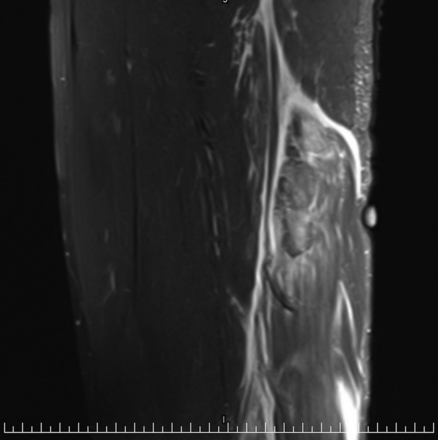 Figure 7