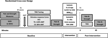 Figure 1