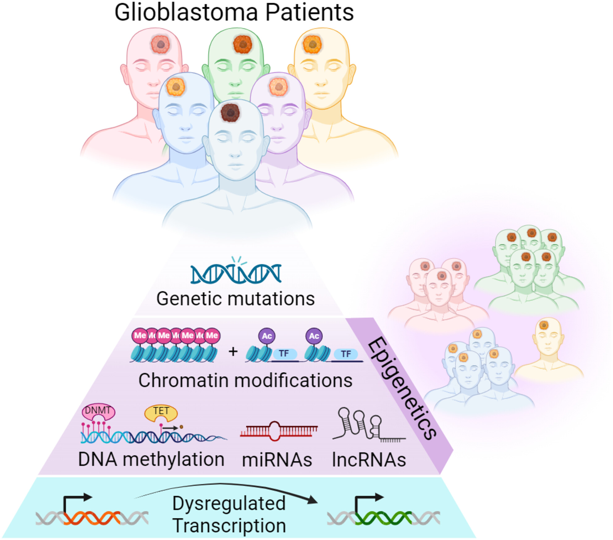 Unravelling the mosaic: Epigenetic diversity in glioblastoma