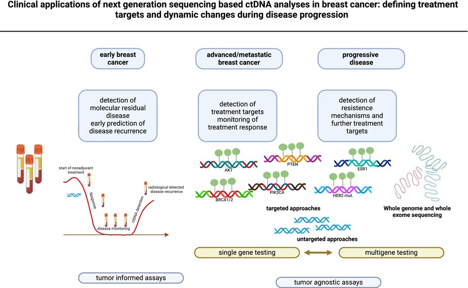 Clinical applications of next-generation sequencing-based ctDNA analyses in breast cancer: defining treatment targets and dynamic changes during disease progression