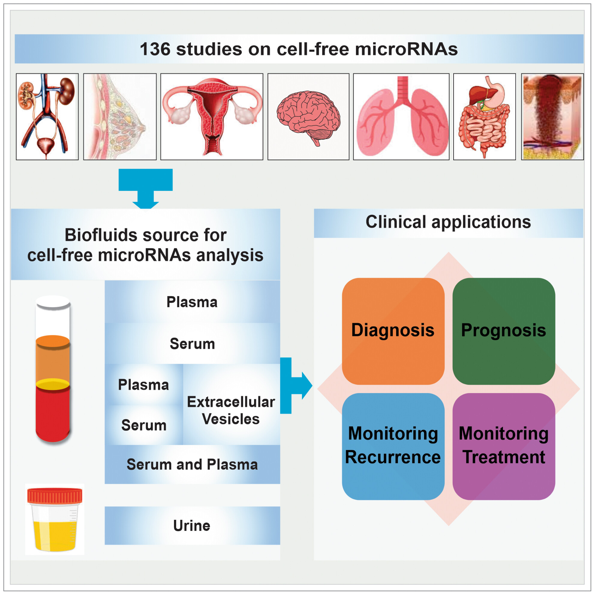 Cell-free and extracellular vesicle microRNAs with clinical utility for solid tumors