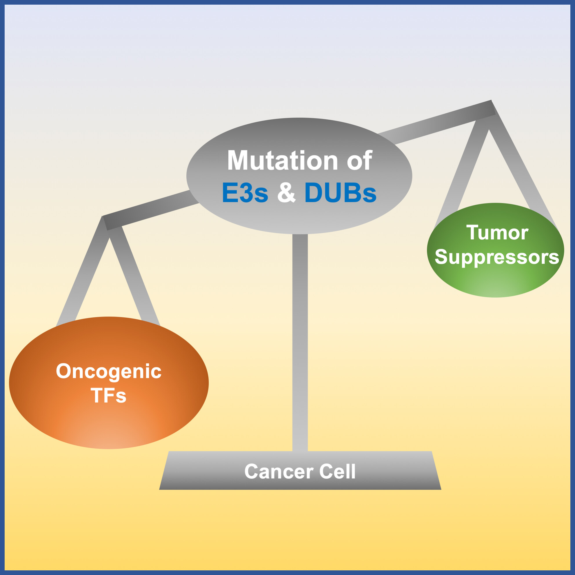 Ubiquitination of transcription factors in cancer: unveiling therapeutic potential
