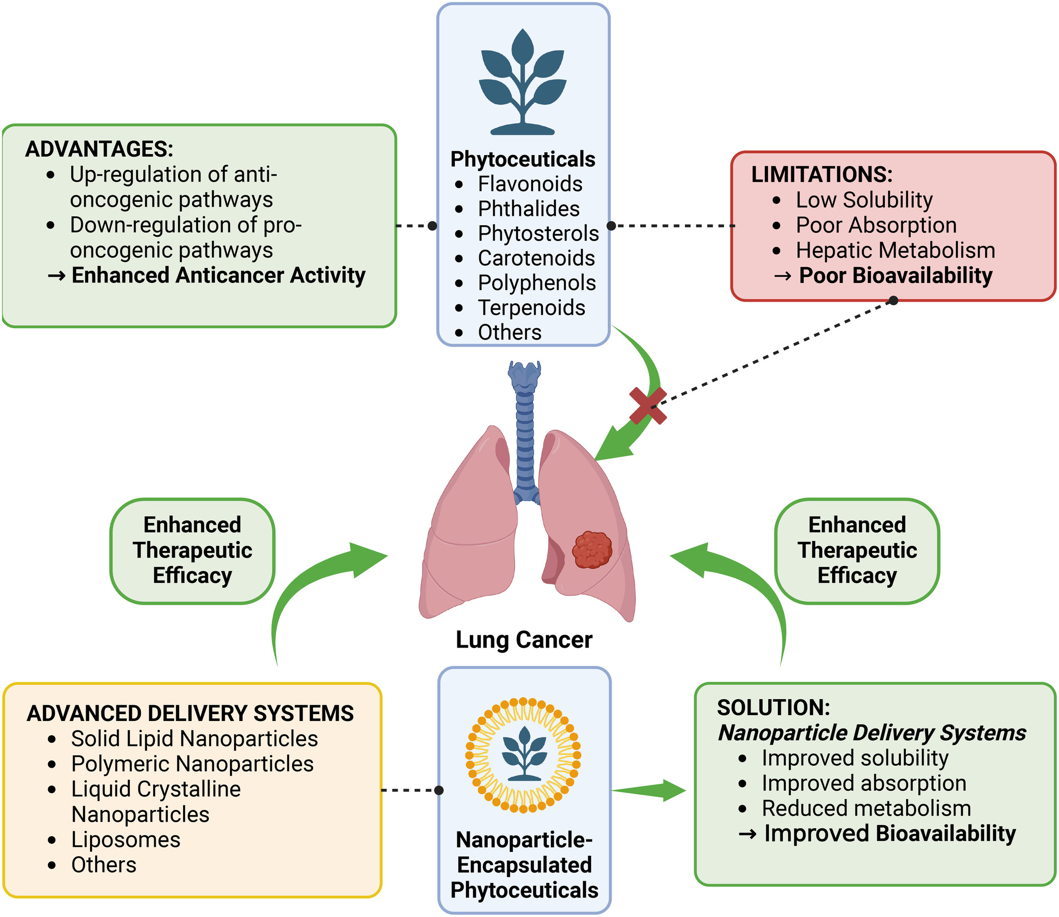 Recent trends and therapeutic potential of phytoceutical-based nanoparticle delivery systems in mitigating non-small cell lung cancer