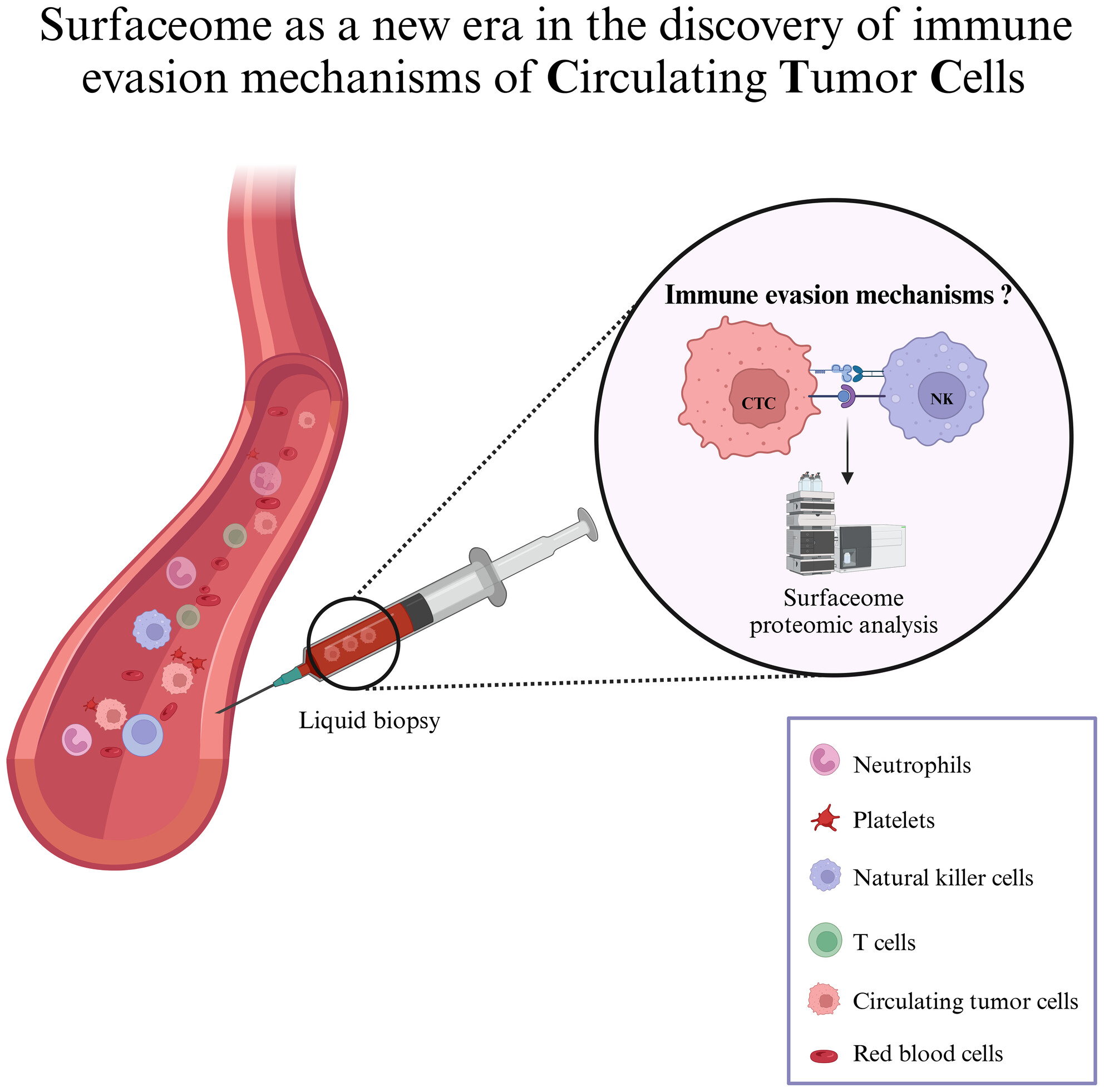 Surfaceome: a new era in the discovery of immune evasion mechanisms of circulating tumor cells