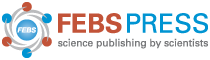 FEBS Press