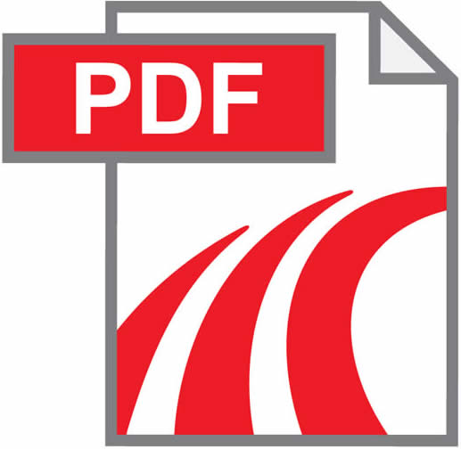 PDF File