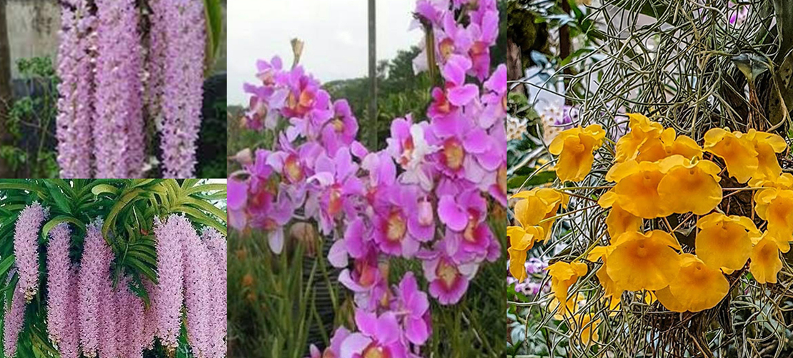 8jpg