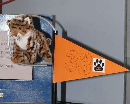 P1010534_flag_tiger_33