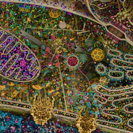 ANGSTROM IMAGES – CST Interactive Molecular Landscapes ANGSTROM IMAGES - CST Interactive Molecular Landscapes