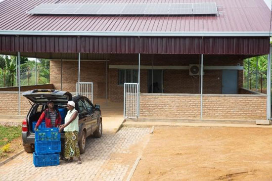 Newly constructed rooftop solar-powered cold storage and packhouse, Rwanda.